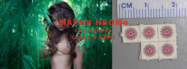 амф Алексин