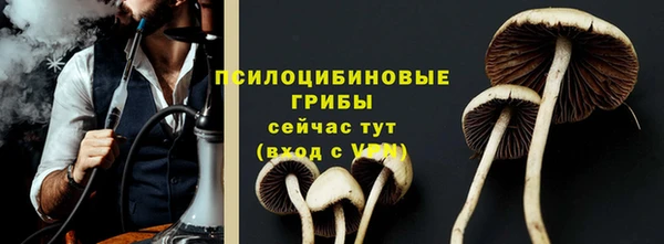 стаф Абинск