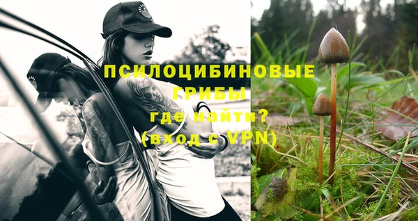 стаф Абинск