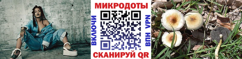 Псилоцибиновые грибы мухоморы  Архангельск 