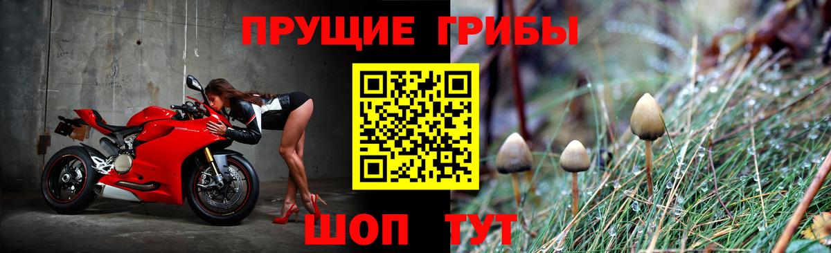 Галлюциногенные грибы мухоморы  Галлюциногенные грибы Psilocybe  Архангельск  цены   Вход с VPN 